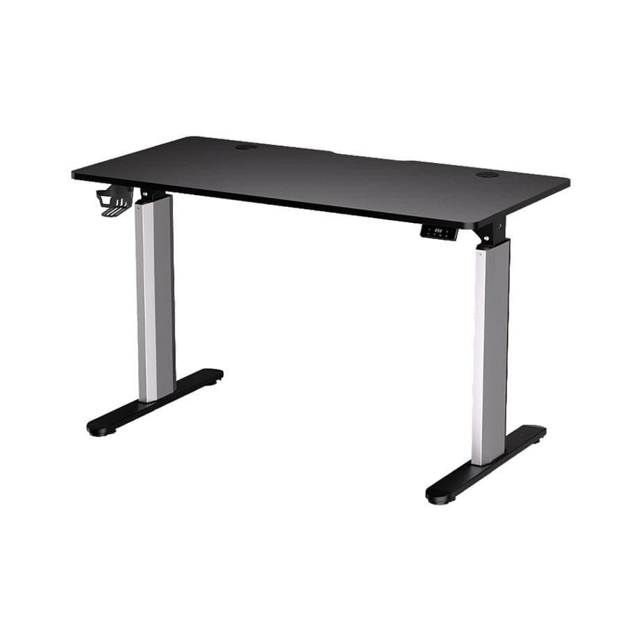 Electric Adjustable Desk